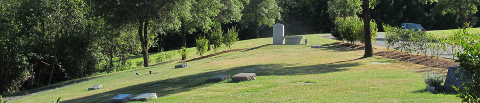 Jewish Cemetery at River View